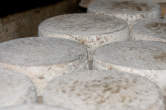 20120801_110013 Forme di formaggio.jpg